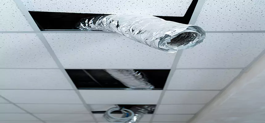 Our Air Duct Pet Hair Removal Services in Medford, MA