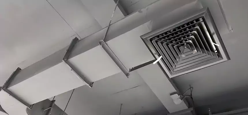 Restorative Allergy Relief Vent Cleaning – Coil, Blower & Housing Detail in Medford