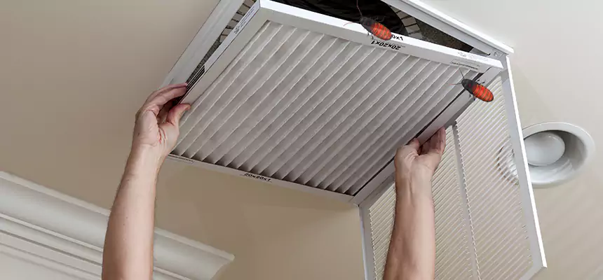 Our Insect Removal from Air Ducts Services in Medford, MA
