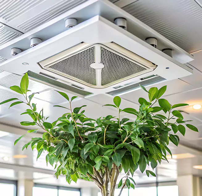 Why Homeowners & Businesses Trust Us in Medford, MA?